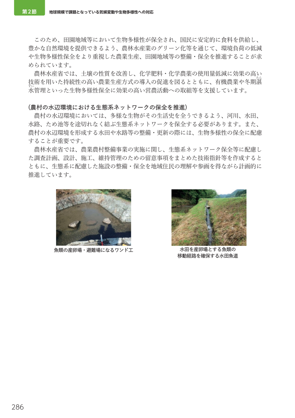 魚類の産卵場・避難場になるワンド工の水辺と、魚類の移動経路を確保する水田魚道（水路）の写真。